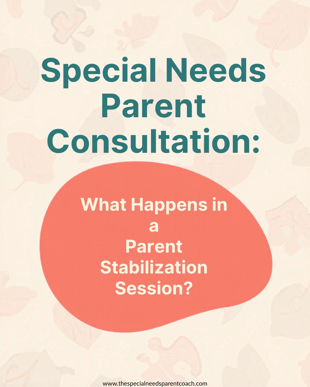 Special Needs Parent Consultation blog cover explaining what happens in a Parent Stabilization Session for overwhelmed parents navigating diagnoses, school systems, and therapies.